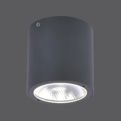 Luminaires Paul Neuhaus Plafonnier Paul Neuhaus GEORG LED Anthracite, 1 lumière