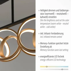 Luminaires Paul Neuhaus Plafonnier Paul Neuhaus LOOP LED Laiton, Noir, 3 lumières, Télécommandes* Éclairage Led