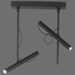Luminaires Paul Neuhaus Plafonnier Paul Neuhaus PURE-TUTUA LED Noir, 2 lumières* Éclairage Led