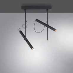 Luminaires Paul Neuhaus Plafonnier Paul Neuhaus PURE-TUTUA LED Noir, 2 lumières* Éclairage Led