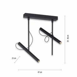 Luminaires Paul Neuhaus Plafonnier Paul Neuhaus PURE-TUTUA LED Noir, 2 lumières* Éclairage Led