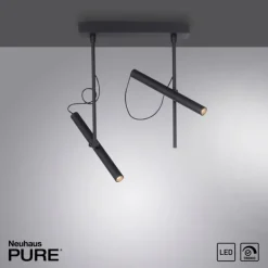 Luminaires Paul Neuhaus Plafonnier Paul Neuhaus PURE-TUTUA LED Noir, 2 lumières* Éclairage Led