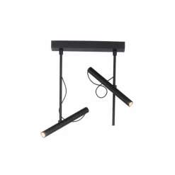 Luminaires Paul Neuhaus Plafonnier Paul Neuhaus PURE-TUTUA LED Noir, 2 lumières* Éclairage Led