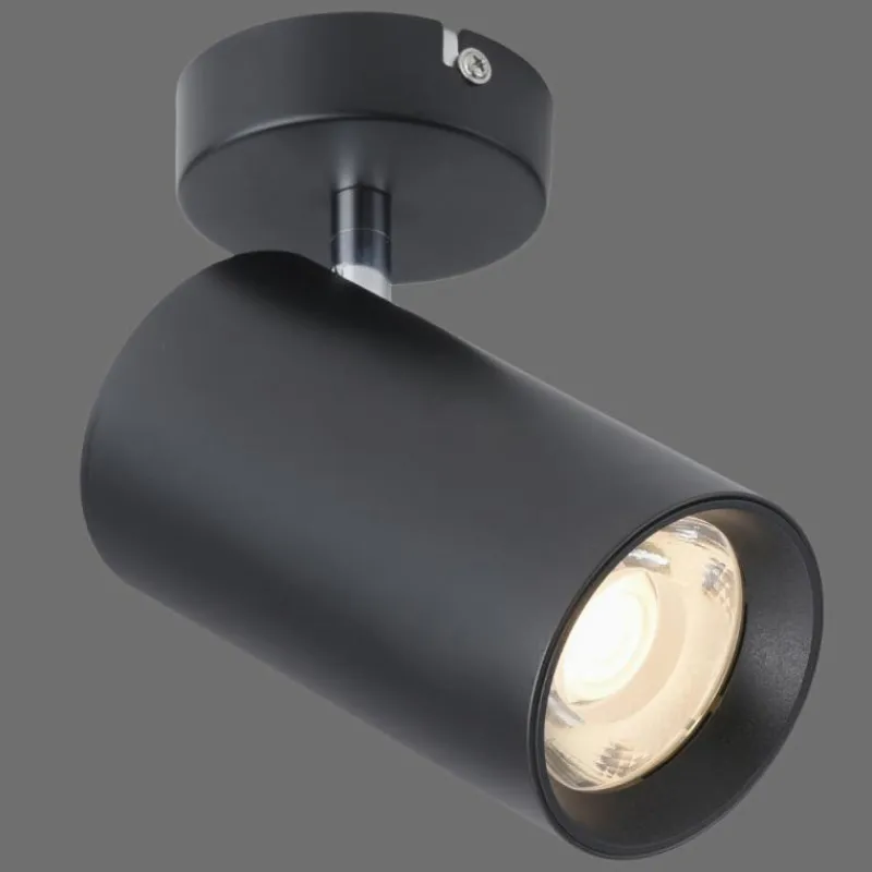 Luminaires Paul Neuhaus Plafonnier Paul Neuhaus PURE-TECHNIK LED Noir, 1 lumière* Éclairage Led
