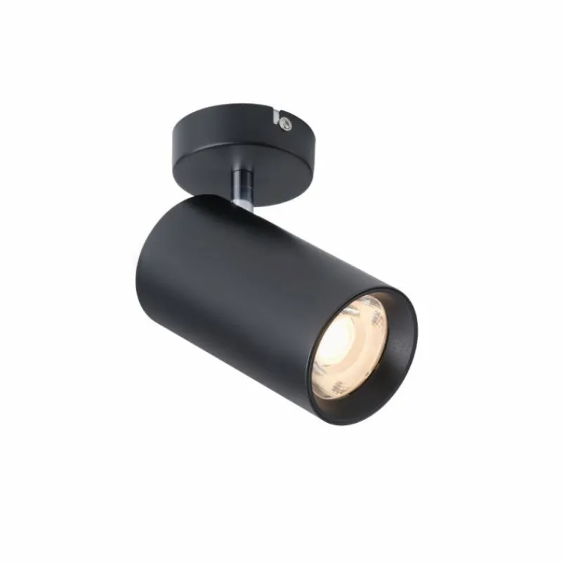 Luminaires Paul Neuhaus Plafonnier Paul Neuhaus PURE-TECHNIK LED Noir, 1 lumière* Éclairage Led