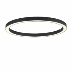 Luminaires Paul Neuhaus Plafonnier Paul Neuhaus PURE-LINES LED Anthracite, 1 lumière, Télécommandes* Éclairage Led