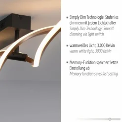 Lampes Dorées-Luminaires Paul Neuhaus Plafonnier Paul Neuhaus POLINA LED Noir, 1 lumière