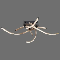 Lampes Dorées-Luminaires Paul Neuhaus Plafonnier Paul Neuhaus POLINA LED Noir, 1 lumière