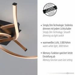 Lampes Dorées-Luminaires Paul Neuhaus Plafonnier Paul Neuhaus POLINA LED Noir, 1 lumière