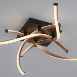 Lampes Dorées-Luminaires Paul Neuhaus Plafonnier Paul Neuhaus POLINA LED Noir, 1 lumière