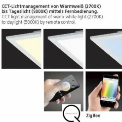 Paul Neuhaus Q-Serie Plafonnier Paul Neuhaus Q-Flag LED Blanc, 1 lumière, Télécommandes