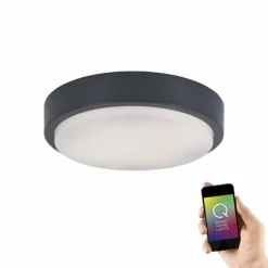 Paul Neuhaus Q-Serie Plafonnier Paul Neuhaus Q-LENNY LED Anthracite, 1 lumière, Télécommandes, Changeur de couleurs