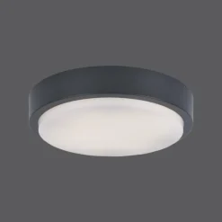 Paul Neuhaus Q-Serie Plafonnier Paul Neuhaus Q-LENNY LED Anthracite, 1 lumière, Télécommandes, Changeur de couleurs