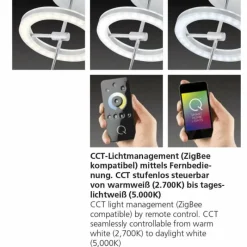 Paul Neuhaus Q-Serie Plafonnier Paul Neuhaus Q-AMY LED Acier inoxydable, 6 lumières, Télécommandes