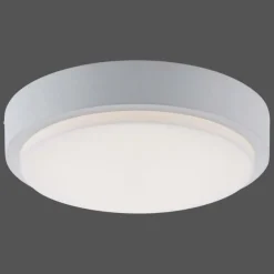 Paul Neuhaus Q-Serie Plafonnier Paul Neuhaus Q-LENNY LED Blanc, 1 lumière, Télécommandes, Changeur de couleurs