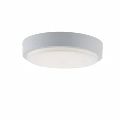 Paul Neuhaus Q-Serie Plafonnier Paul Neuhaus Q-LENNY LED Blanc, 1 lumière, Télécommandes, Changeur de couleurs