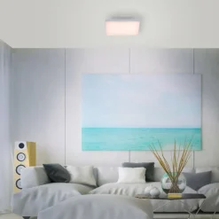 Paul Neuhaus Q-Serie Plafonnier Paul Neuhaus Q-FLAG LED Blanc, 1 lumière, Télécommandes, Changeur de couleurs