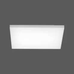 Paul Neuhaus Q-Serie Plafonnier Paul Neuhaus Q-FLAG LED Blanc, 1 lumière, Télécommandes, Changeur de couleurs