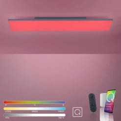 Paul Neuhaus Q-Serie Plafonnier Paul Neuhaus Q-FLAG LED Blanc, 1 lumière, Télécommandes, Changeur de couleurs