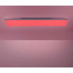 Paul Neuhaus Q-Serie Plafonnier Paul Neuhaus Q-FLAG LED Blanc, 1 lumière, Télécommandes, Changeur de couleurs