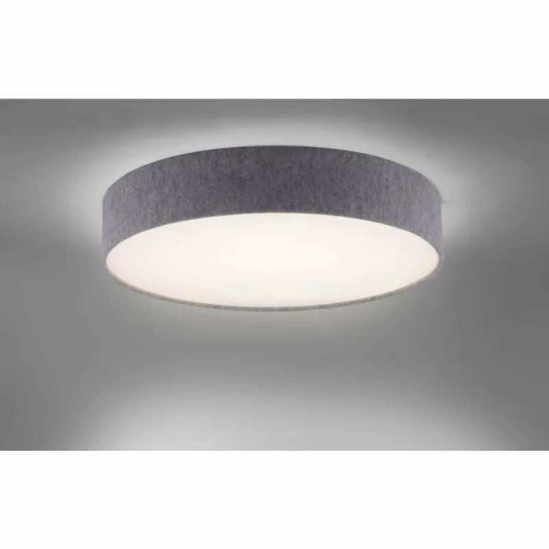 Paul Neuhaus Q-Serie Plafonnier Paul Neuhaus Q-KIARA LED Gris, 1 lumière, Télécommandes