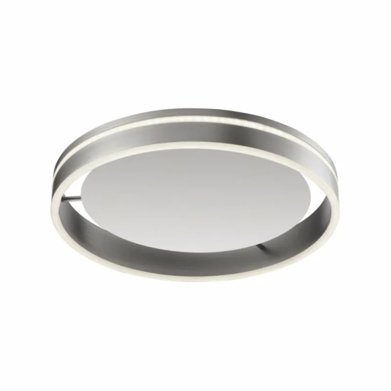 Paul Neuhaus Q-Serie Plafonnier Paul Neuhaus Q-VITO LED Acier inoxydable, 1 lumière, Télécommandes