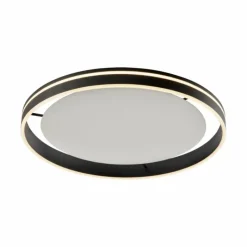 Paul Neuhaus Q-Serie Plafonnier Paul Neuhaus Q-VITO LED Anthracite, 1 lumière, Télécommandes