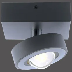 Paul Neuhaus Q-Serie Plafonnier Paul Neuhaus Q-MIA LED Anthracite, 1 lumière, Télécommandes