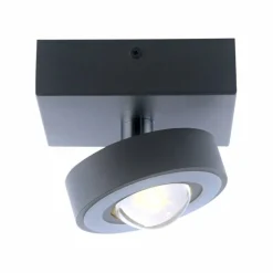 Paul Neuhaus Q-Serie Plafonnier Paul Neuhaus Q-MIA LED Anthracite, 1 lumière, Télécommandes