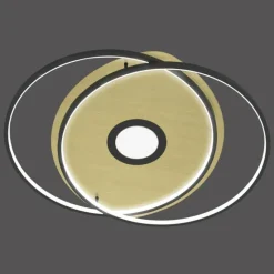 Paul Neuhaus Q-Serie Plafonnier Paul Neuhaus Q-AMIRA LED Noir, 1 lumière, Télécommandes