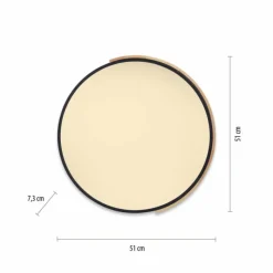 Paul Neuhaus Q-Serie Plafonnier Paul Neuhaus Q-BILA LED Écru, Noir, 1 lumière, Télécommandes