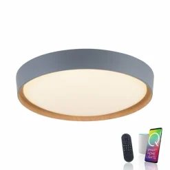 Paul Neuhaus Q-Serie Plafonnier Paul Neuhaus Q-EMILIA LED Gris, Couleur bois, 1 lumière, Télécommandes