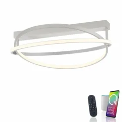 Paul Neuhaus Q-Serie Plafonnier Paul Neuhaus Q-BELUGA LED Argenté, 1 lumière, Télécommandes