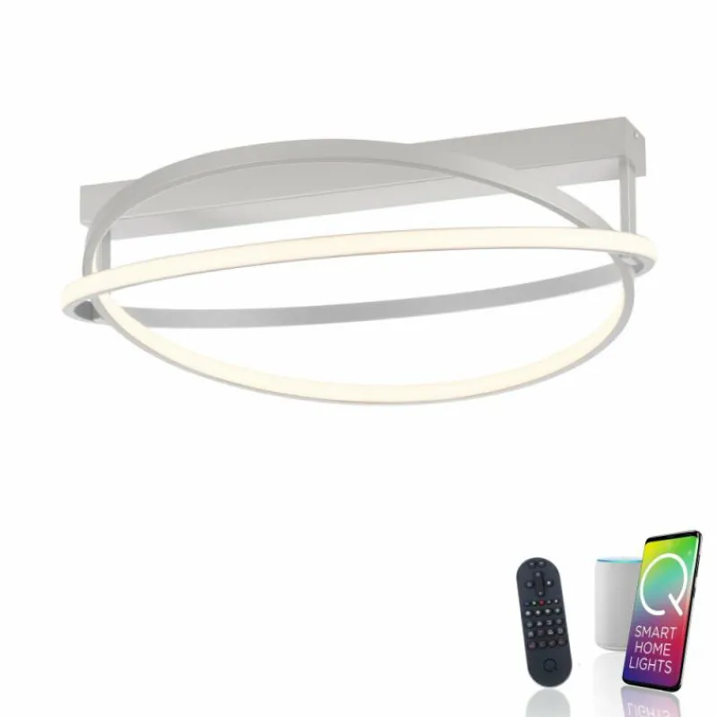 Paul Neuhaus Q-Serie Plafonnier Paul Neuhaus Q-BELUGA LED Argenté, 1 lumière, Télécommandes