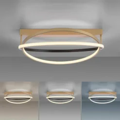 Paul Neuhaus Q-Serie Plafonnier Paul Neuhaus Q-BELUGA LED Or, 1 lumière, Télécommandes