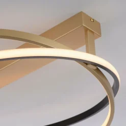 Paul Neuhaus Q-Serie Plafonnier Paul Neuhaus Q-BELUGA LED Or, 1 lumière, Télécommandes