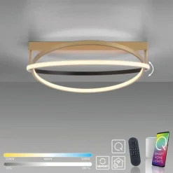 Paul Neuhaus Q-Serie Plafonnier Paul Neuhaus Q-BELUGA LED Or, 1 lumière, Télécommandes