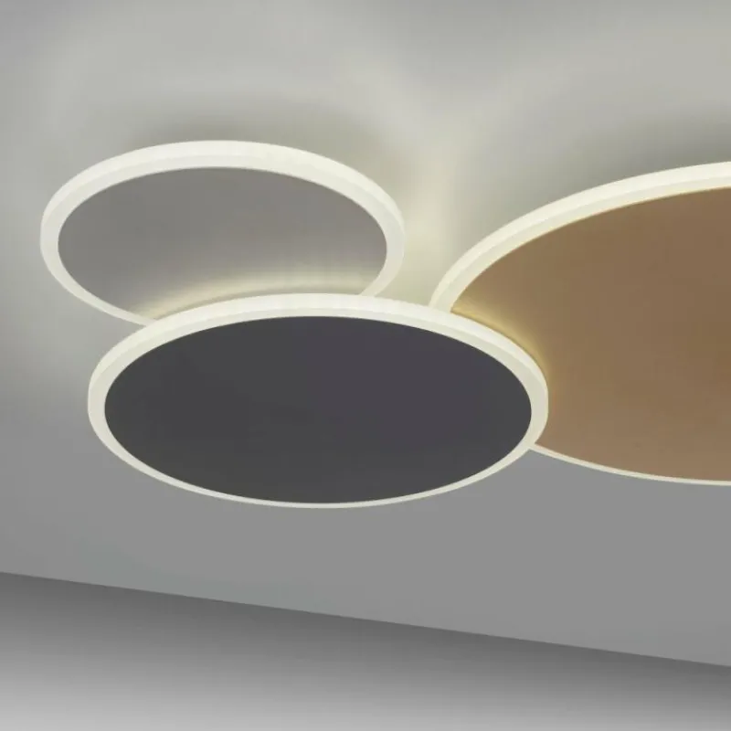 Paul Neuhaus Q-Serie Plafonnier Paul Neuhaus Q-PIATO LED Blanc, 1 lumière, Télécommandes