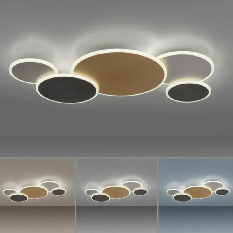 Paul Neuhaus Q-Serie Plafonnier Paul Neuhaus Q-PIATO LED Blanc, 1 lumière, Télécommandes