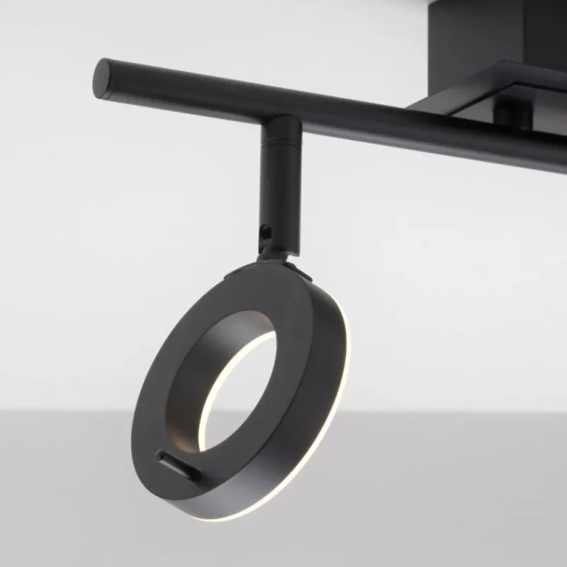 Luminaires Paul Neuhaus Plafonnier Paul Neuhaus SILEDA Anthracite, 2 lumières* Éclairage Led