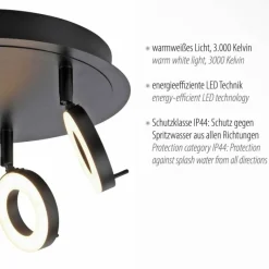 Luminaires Paul Neuhaus Plafonnier Paul Neuhaus SILEDA Anthracite, 3 lumières* Spots Et Projecteurs