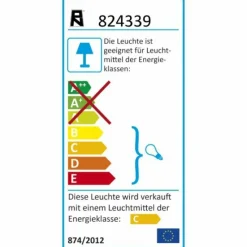 Luminaires Rustiques-Luminaires Paul Neuhaus Plafonnier Paul Neuhaus WOMBLE Acier inoxydable, 6 lumières