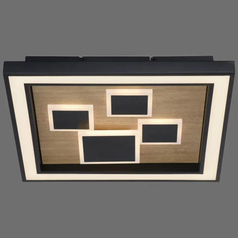 Lampes En Bois-Luminaires Paul Neuhaus Plafonnier Paul-Neuhaus ELIZA LED Écru, Noir, 1 lumière