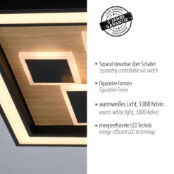 Lampes En Bois-Luminaires Paul Neuhaus Plafonnier Paul-Neuhaus ELIZA LED Écru, Noir, 1 lumière
