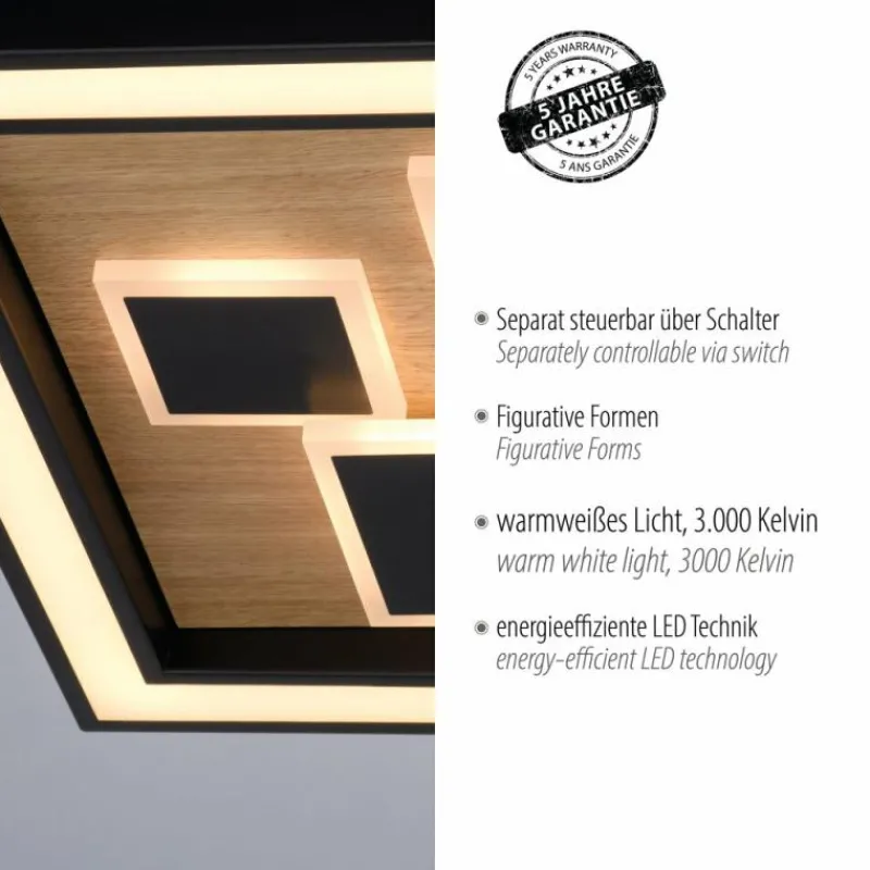 Lampes En Bois-Luminaires Paul Neuhaus Plafonnier Paul-Neuhaus ELIZA LED Écru, Noir, 1 lumière
