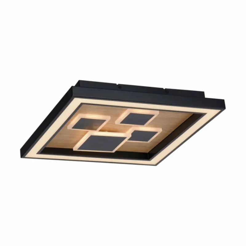 Lampes En Bois-Luminaires Paul Neuhaus Plafonnier Paul-Neuhaus ELIZA LED Écru, Noir, 1 lumière