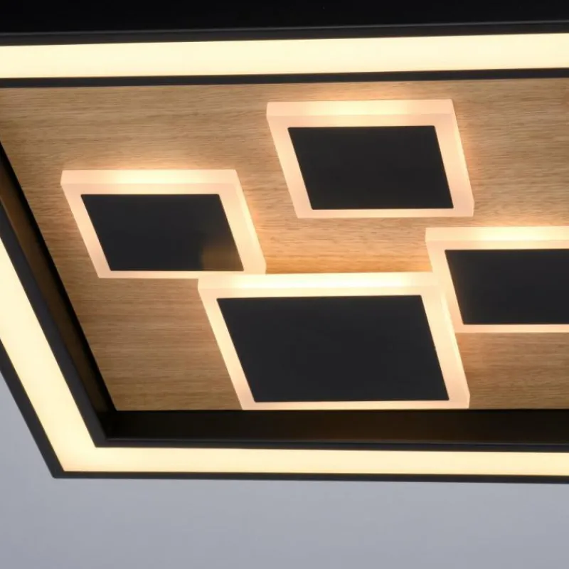 Lampes En Bois-Luminaires Paul Neuhaus Plafonnier Paul-Neuhaus ELIZA LED Écru, Noir, 1 lumière