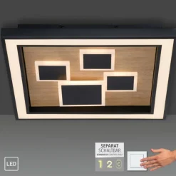 Lampes En Bois-Luminaires Paul Neuhaus Plafonnier Paul-Neuhaus ELIZA LED Écru, Noir, 1 lumière