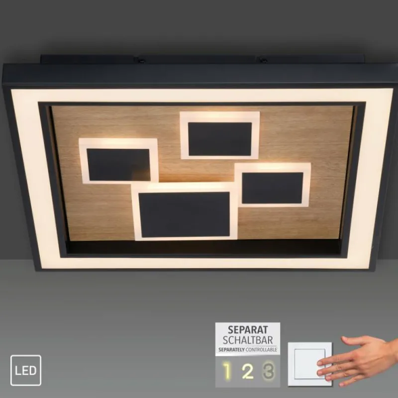 Lampes En Bois-Luminaires Paul Neuhaus Plafonnier Paul-Neuhaus ELIZA LED Écru, Noir, 1 lumière