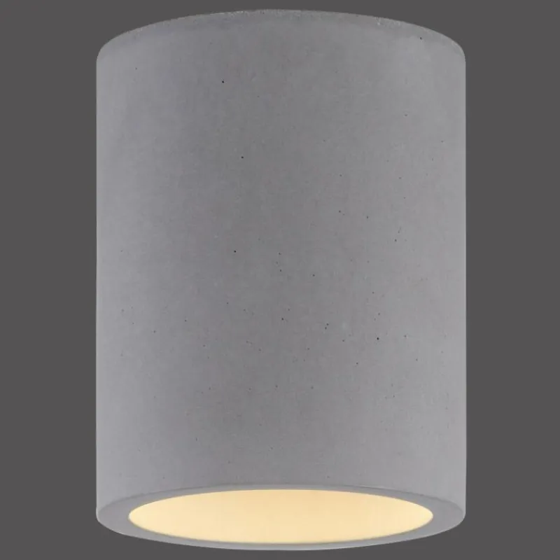 Luminaires Paul Neuhaus Plafonnier Paul-Neuhaus ETON Gris, Noir, 1 lumière* Plafonniers